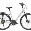 TREK Verve 3 Equipped Lowstep