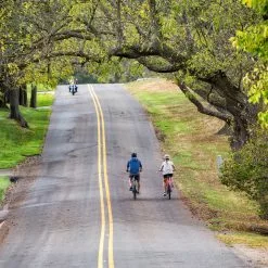 TREK Verve+ 1 -BIKE ATTITUDE Verve plus
